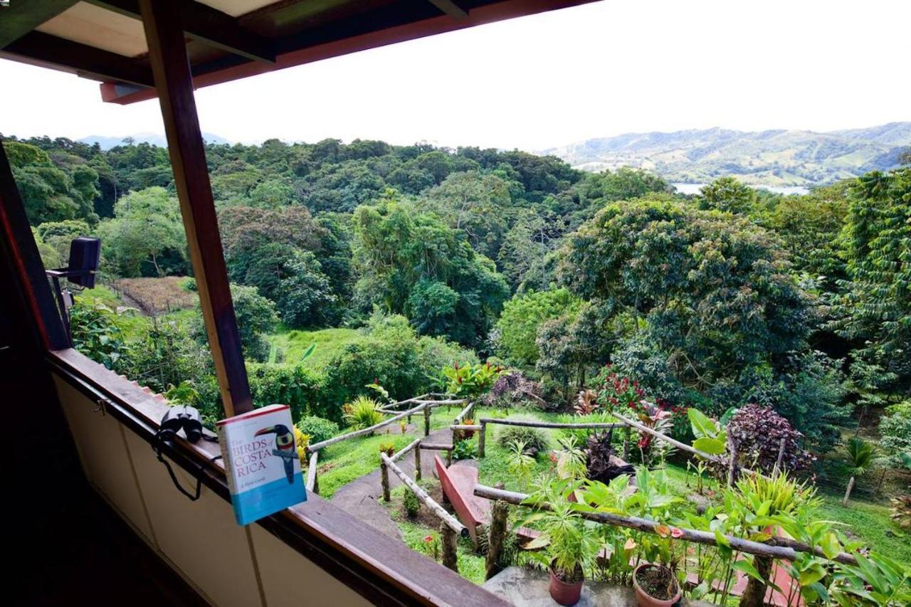 Toucan Lane Hotel And Restaurant 누에보 아레날 외부 사진